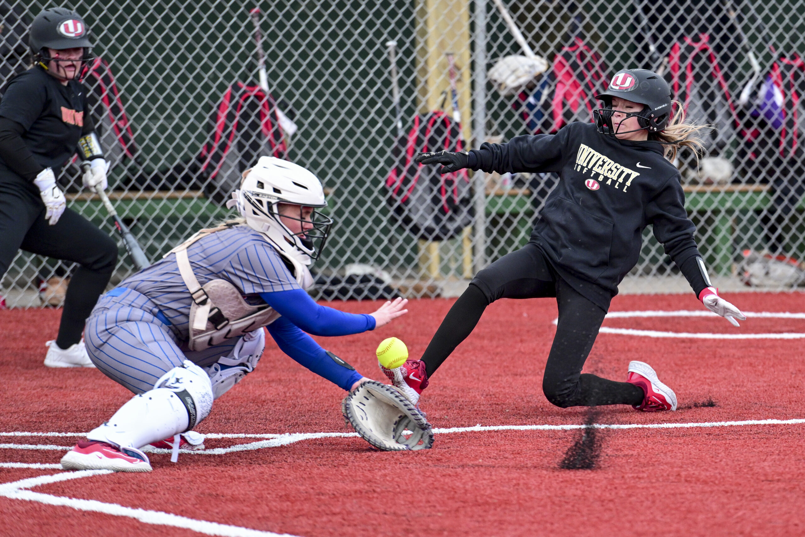 Excitement brewing for all-Morgantown regional series between the Hawks and Mohigans